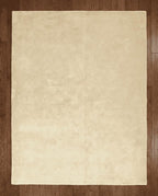 Liso Beige solid hand-tufted wool rug, view 5
